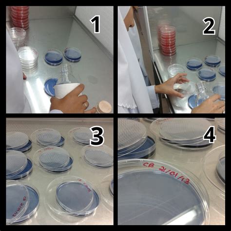 Although pre-poured <b>agar</b> <b>plates</b> are available, one can <b>make</b> <b>agar</b> <b>plates</b> from tablet, powdered, or bottled <b>agar</b> by following a few simple instructions. . Making agar plates without autoclave